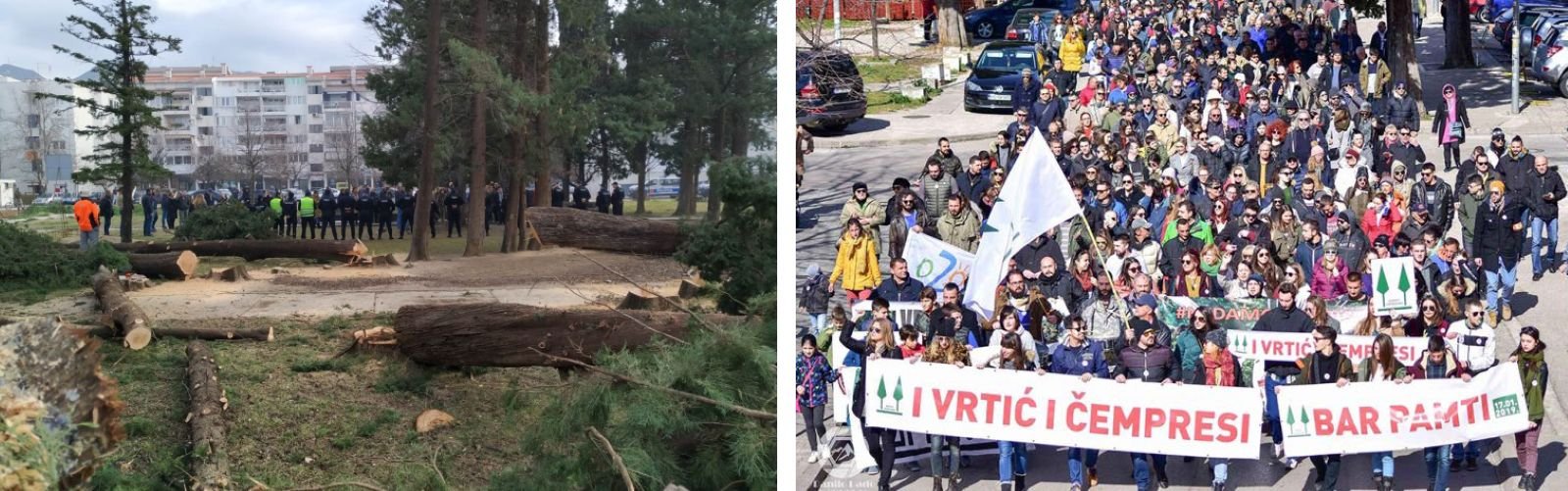 Protesti u Baru zbog sječe parka čempresa