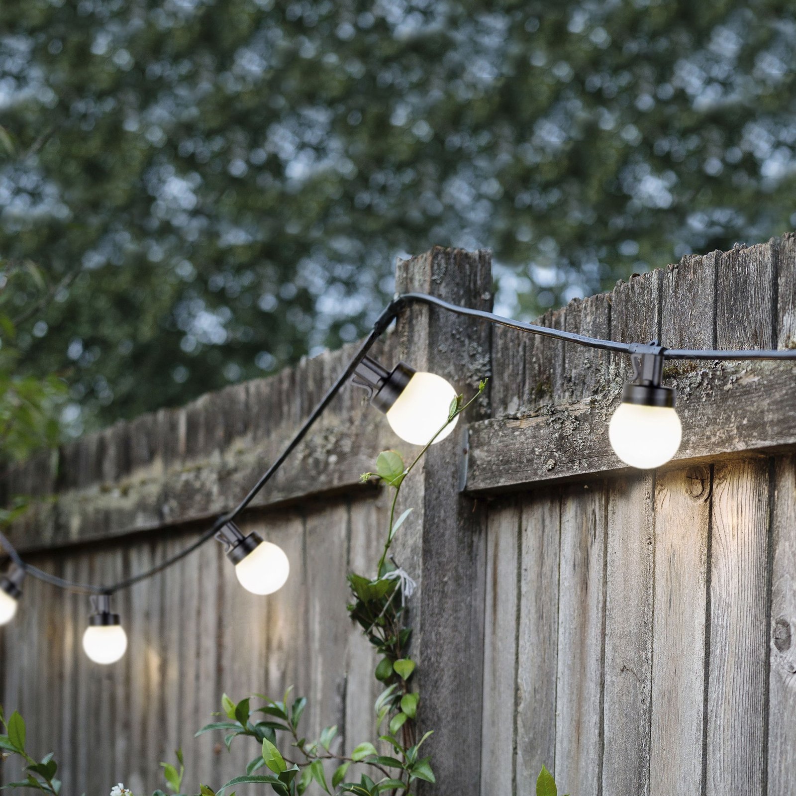 LED lanac